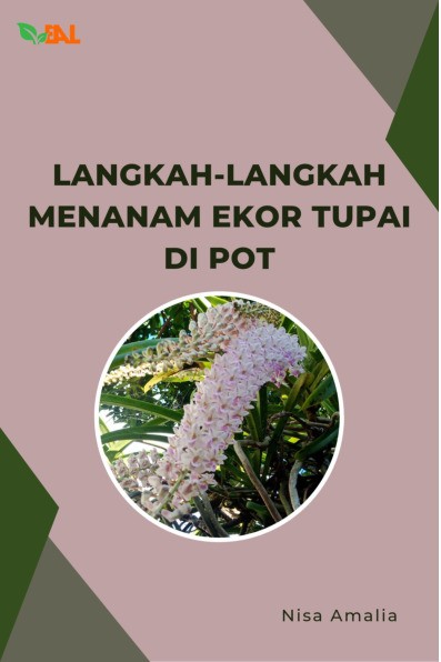 Langkah-Langkah Menanam Ekor Tupai di Pot